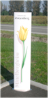 Ortschild konvex